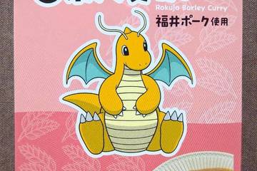 大麦倶楽部 カイリューの6条大麦カレー 福井ポーク使用 小麦不使用 サポートバイポケモンだいすきクラブ