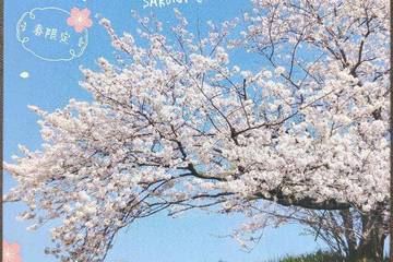 調味商事 春は桜に熱々カレー。  春限定 さくらカレー
