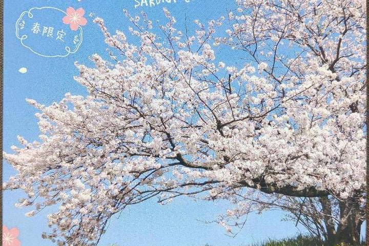 調味商事 春は桜に熱々カレー。  春限定 さくらカレー