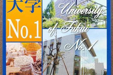 ワイヤレスブロードバンド 福井大学No.1 越のルビーにんにくらっきょうだいずなど福井県産食材満載うずらの玉子牛すじひき肉も入った力みなぎる実力派カレーです