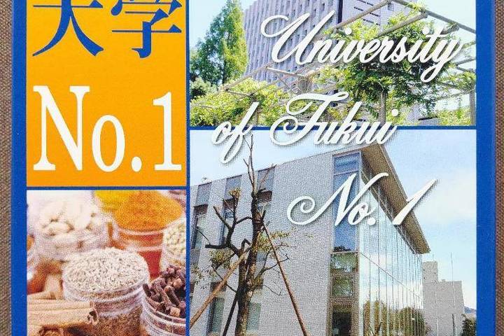 ワイヤレスブロードバンド 福井大学No.1 越のルビーにんにくらっきょうだいずなど福井県産食材満載うずらの玉子牛すじひき肉も入った力みなぎる実力派カレーです