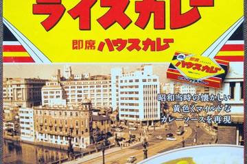 ハウス食品 イオン株式会社化100年 昭和のライスカレー 即席ハウスカレー 中辛牛肉野菜入り 昭和当時の懐かしい黄色くマイルドなカレーソースを再現